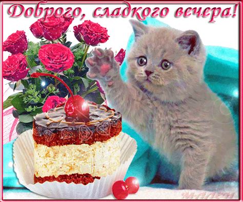 Доброго, сладкого вечера! - Добрый вечер | Открытки, День рождения ...