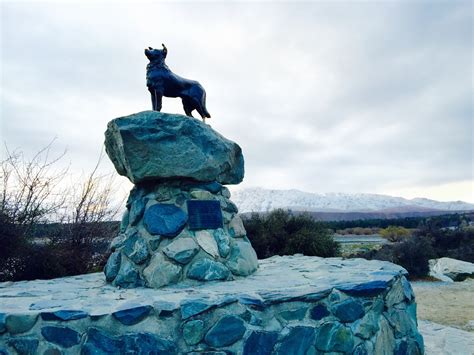 Tu Alquiler Vacacional En Estatua Del Perro Pastor Casas Y Más Vrbo
