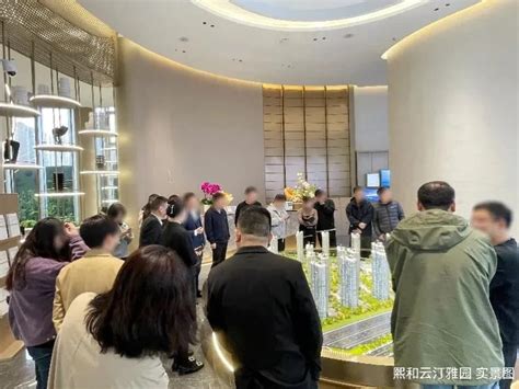 苏州城市建设投资发展（集团）有限公司 熙和云汀雅园、熙和风雅阁营销中心同步开放，现场人人人人人