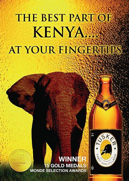 Diary Of A Serial Schizo D Of Ass The Nairobi Chips Funga Chronicle