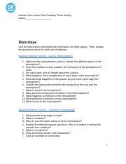 Module Six Lesson One Pathway Three Activity Doc Module One Lesson