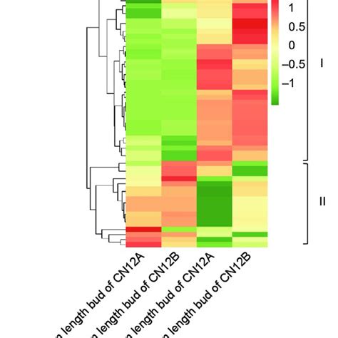 Expression Analysis Of MiRNAs In Four Tissues Hierarchical Clustering