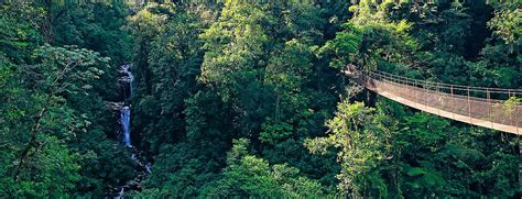 Rainforest Tours In Panama Jungle Treks And Excursions Evaneos