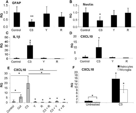 C Rho Inhibitor Enhances Expression Of Mrna For Cxcl And Il