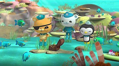 Watch The Octonauts Season 1 Episode 45 - The Pirate Parrotfish Online Now