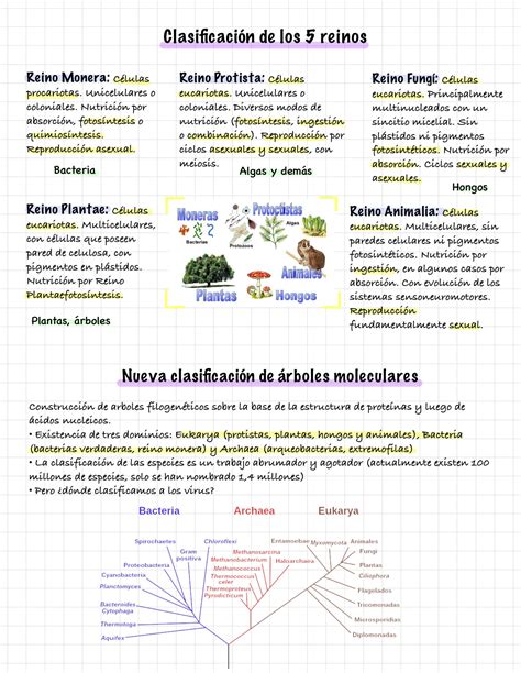 Solution Organizaci N Biol Gica Y Caracter Sticas De Los Seres Vivos