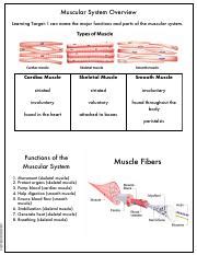 Kami Export Elon Ochoumare Muscles Guided Reading Google Classroom