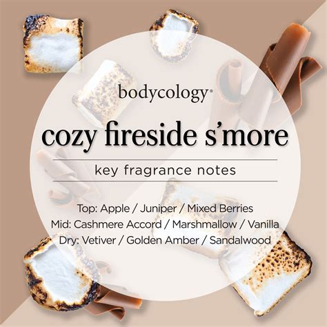 Bodycology 2in1 Body Wash And Bubble Bath Cozy Fireside Smore 16 Fl Oz