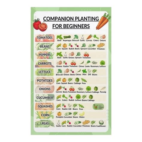 Gardening Cheat Sheet Easy