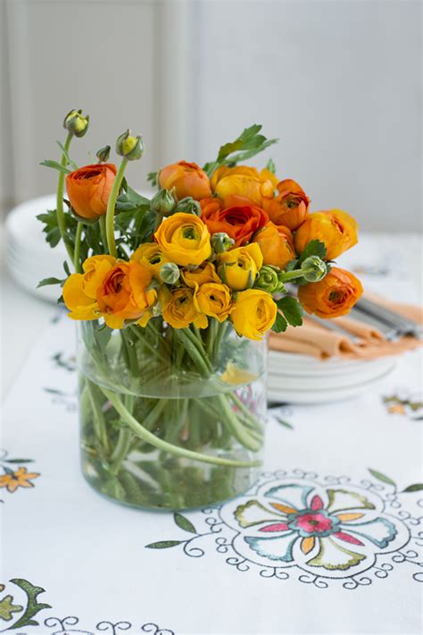 Просто цветы: gerbera1 — LiveJournal
