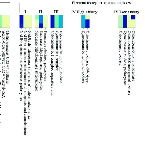 The Heatmap Constructed Using Distilled And Refined Annotation Of