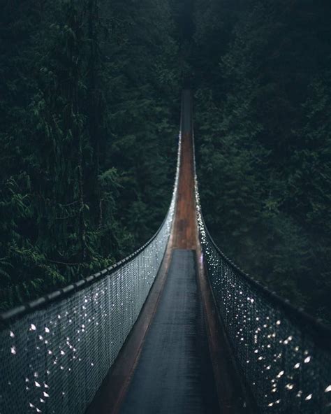 Capilano Suspension Bridge Suspension Bridge Forest Photos Capilano Suspension Bridge