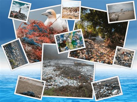 Mbet Plastic Waste Solution Marine Biology And Environmental