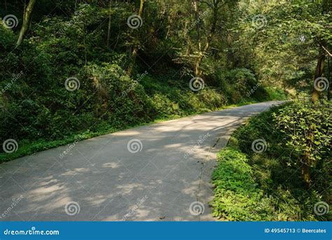 Curvando A Estrada Da Montanha No Dia De Inverno Ensolarado Imagem De