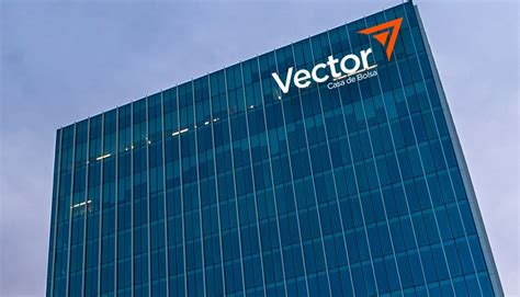 Vector Casa De Bolsa Cumple A Os Y Refuerza Su Compromiso Con La