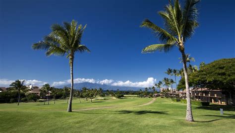 Kaanapali golf course, view of the palm tree and volcano in the distance | Best Maui Golf ...