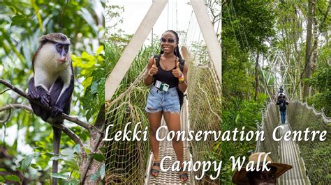 Lekki Conservation Centre Canopy Walk The Longest Canopy Walkway In