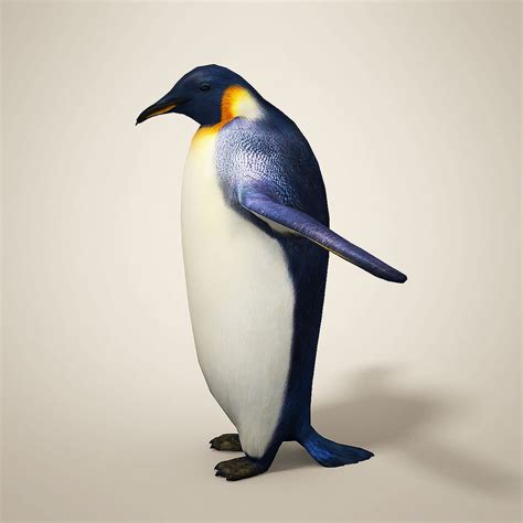 3D penguin - TurboSquid 1236677