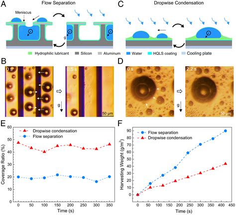 Hydrophilic Reentrant Slips Enabled Flow Separation For Rapid Water