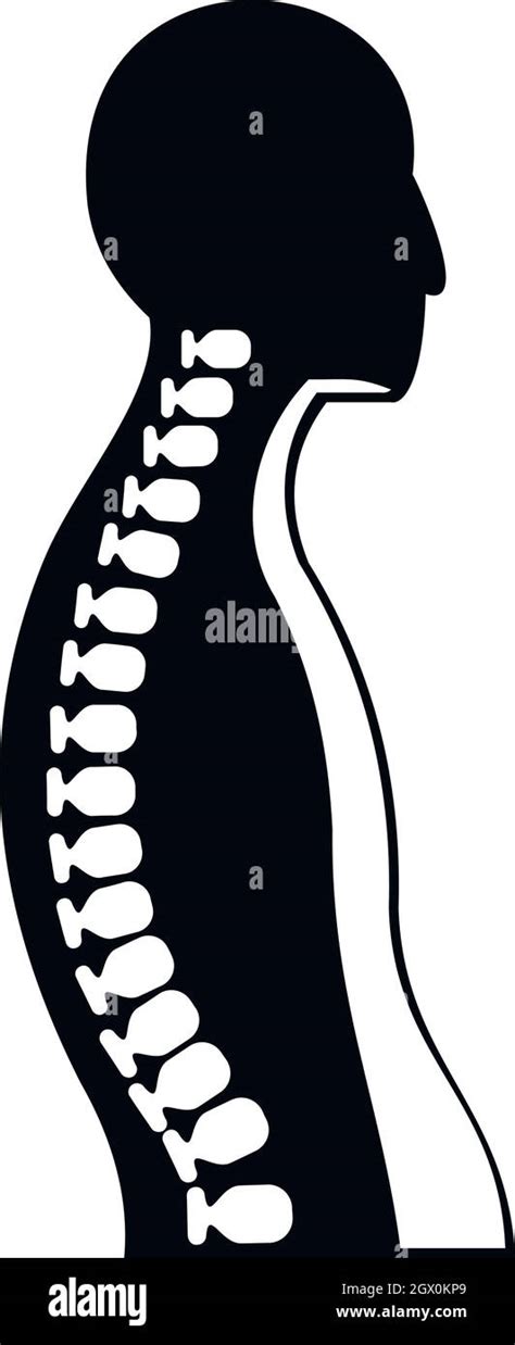 Human Spine Stock Vector Images Alamy