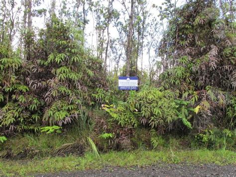 Fern Forest, Hawaii - Alchetron, The Free Social Encyclopedia