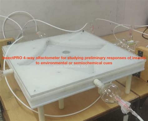 4-way Insect Olfactometer | Olfactometer