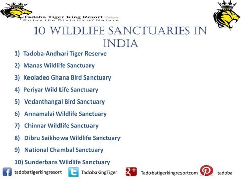 Ppt 10 Wildlife Sanctuaries In India Powerpoint Presentation Free