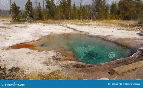 Parque Nacional Wyoming De Yellowstone De Las Aguas Termales De Los