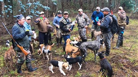 Cacería de Conejos Con Perros en Chillan Conejeando YouTube