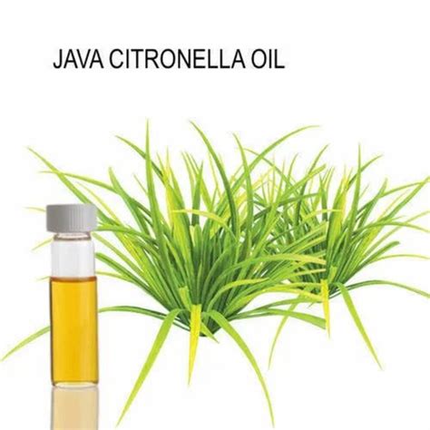 Citronella Java Essential Oil At Rs 980kg Citronella Essential Oil