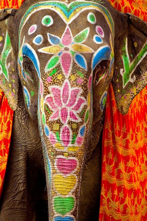 Elefante Engalanado En La India Elefantes Pintados Elefante Indio Y