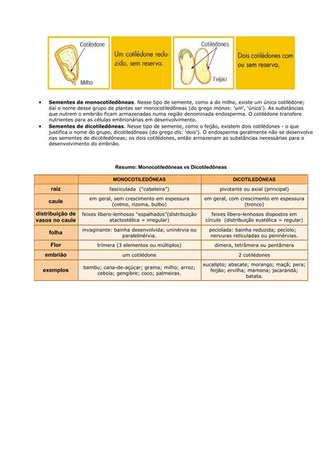 Reino Plantae Ou Metaphyta Pdf