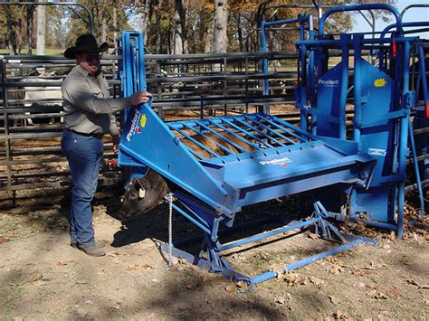 Calf Squeeze Chute Ct Priefert Tilting With Weighing System