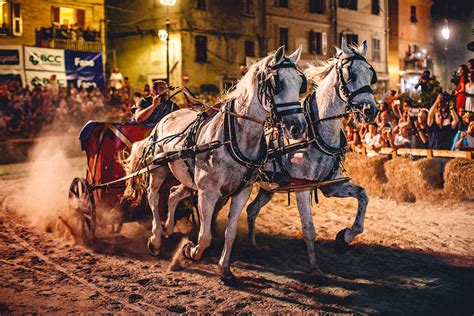 Figuranti E Spettacolare Corsa Delle Bighe Conclusa La Fano Dei