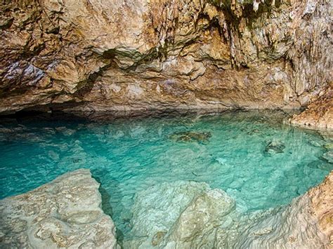 Los Cenotes De Hom N Explora Las Joyas De La Naturaleza En Yucat N