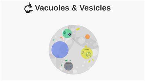 Vacuoles & Vesicles by Cynthia Jennings on Prezi