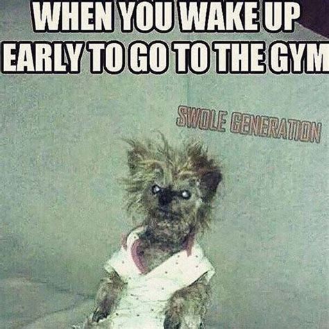 Funny Quotes Pictures New Gym Memes Workout Memes Funny