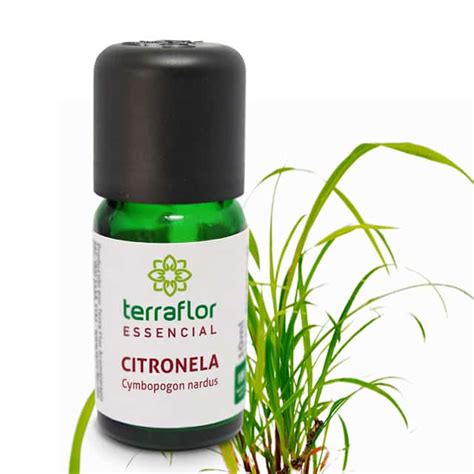 Óleo essencial de Citronela Terra Flor Aromaterapia