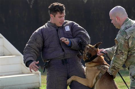 Military Working Dogs 15th Wing Article Display