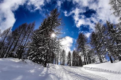 Vacanze A Falcade Alla Scoperta Della Valle Del Biois