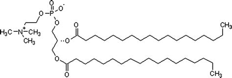 Schematic Chemical Structure Of Dspc Download Scientific Diagram