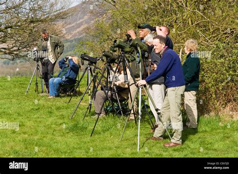 Group Of Birdwatchers Twitchers Watching Birds Through Spotting Scopes