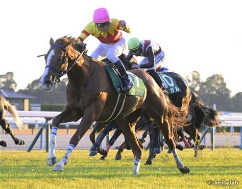 【京阪杯】阪神でも京都でも！トウシンマカオが連覇達成 競馬ニュース 競馬ラボ