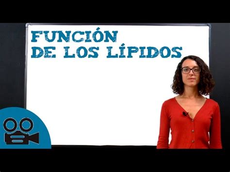 Función De Los Lípidos En El Cuerpo Humano