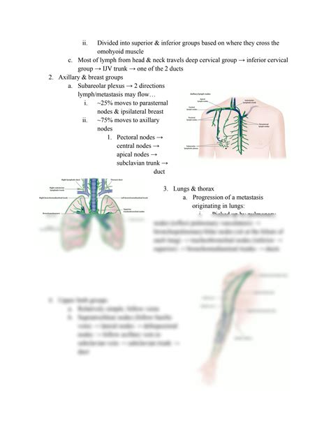 Solution Anatomy Lymph Nodes Notes Bsci Studypool