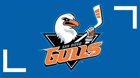 San Diego Gulls Will Move To Irvine For Home Games Due To Covid 19