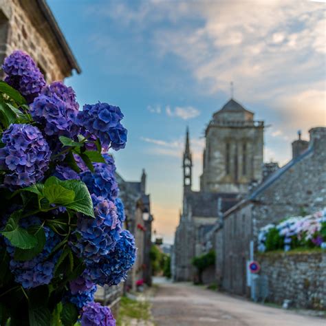 Les Hortensias De Bretagne Locronan Bretagne France Flickr