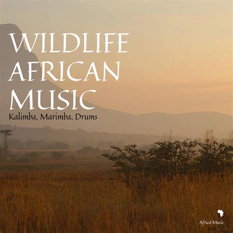 Wildlife African Music Kalimba Marimba Drums Album By African