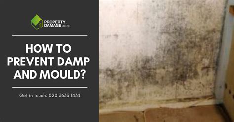 How To Prevent Damp And Mould Do You Know How You Could Prevent Damp