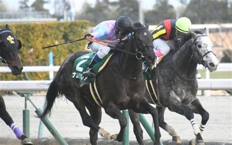 【高松宮記念枠順確定】ナムラクレアは2枠3番、ルガルは3枠6番 その他競技 スポーツブル スポブル